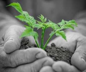 さいたま市浦和髪質改善ヘナ