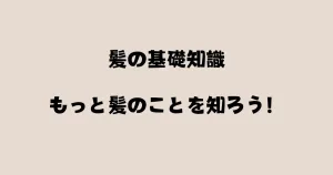 さいたま市浦和で髪質改善と縮毛矯正が口コミで人気の美容室エナが髪の基礎知識を教えると大宮と川口からも来店