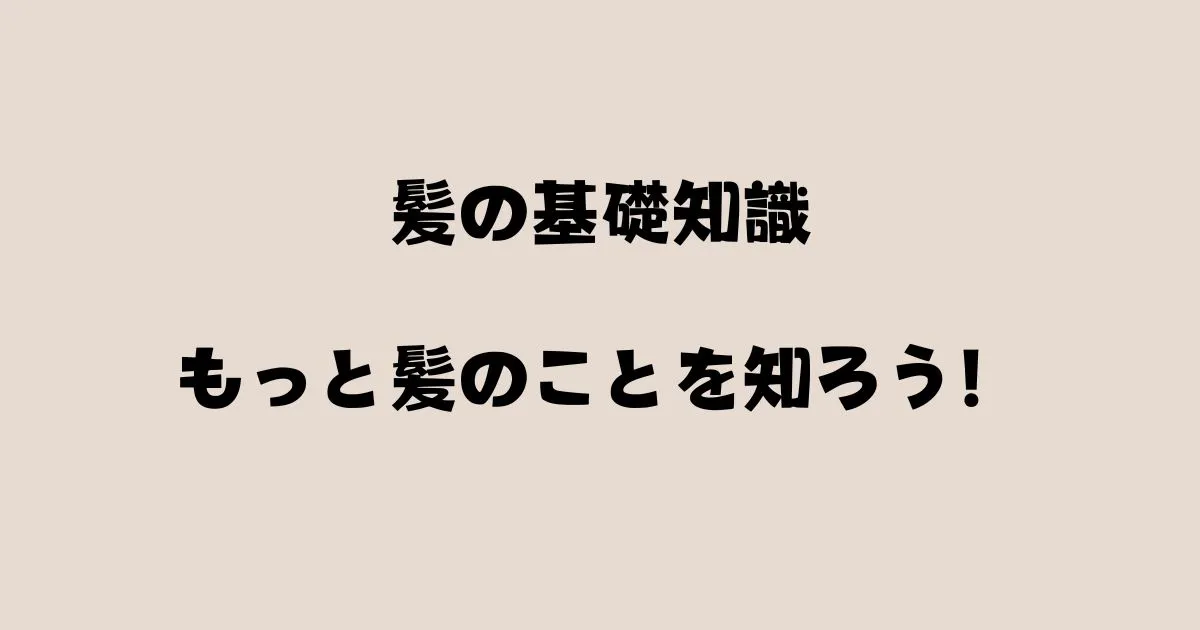さいたま市浦和で髪質改善と縮毛矯正が口コミで人気の美容室エナが髪の基礎知識を教えると大宮と川口からも来店