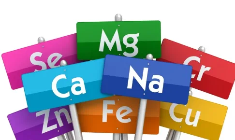 美容とビタミンとミネラル