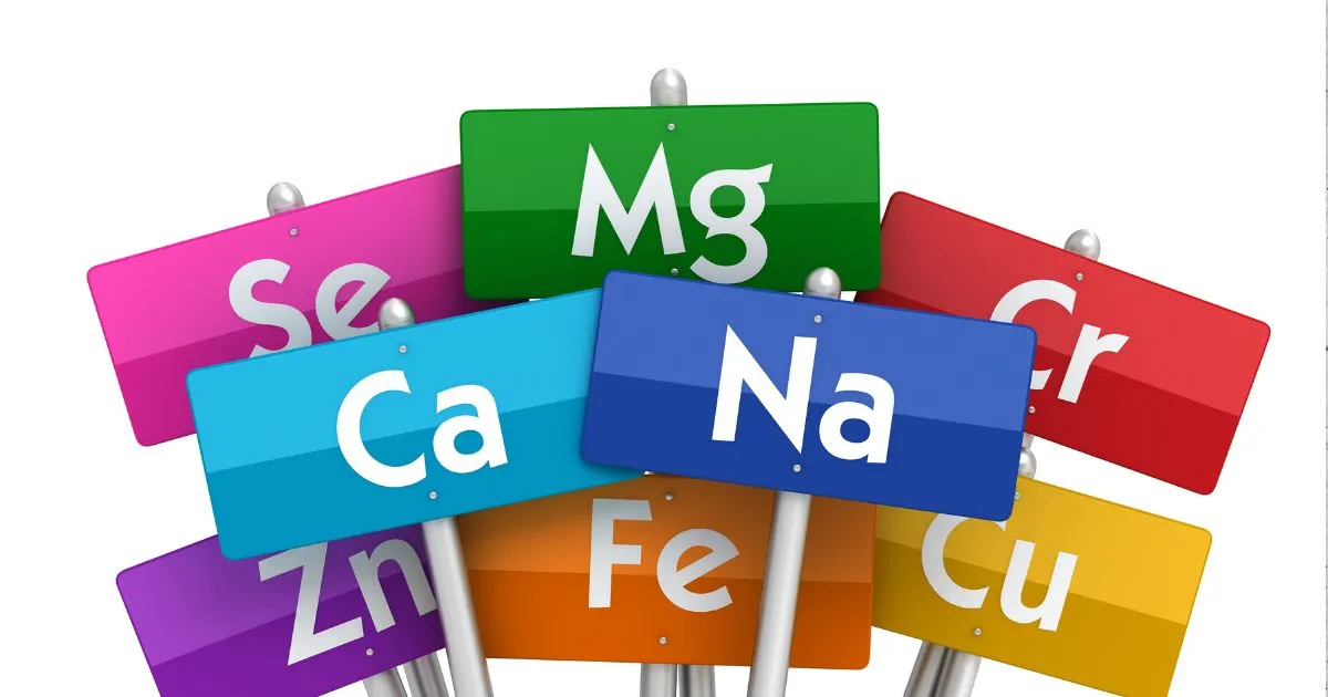 美容とビタミンとミネラル