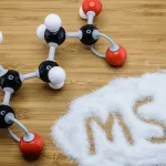 グルタミン酸・glutamic-acid