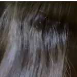 大宮から縮毛矯正でご来店されるお客様のビフォアー写真