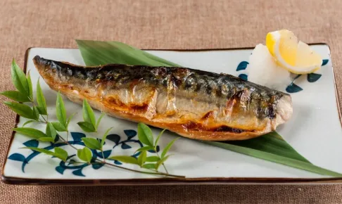 鯖