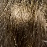 南浦和からご来店される縮毛矯正のリピーターのビフォアー写真