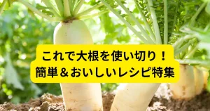 大根レシピ