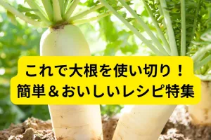 大根レシピ
