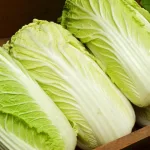 白菜