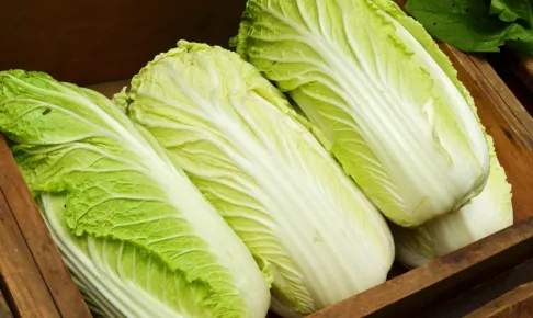 白菜