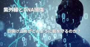 紫外線とDNA