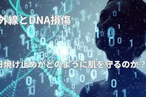 紫外線とDNA