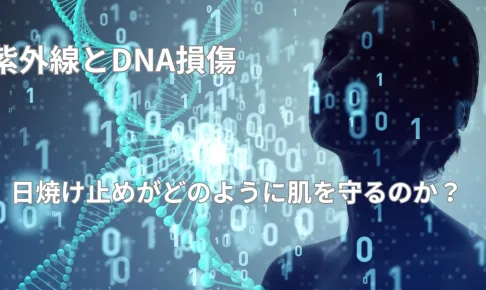 紫外線とDNA