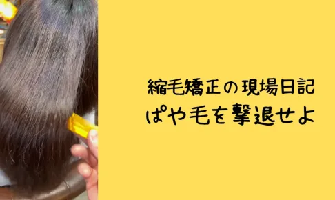 さいたま市浦和の美容室エナ。髪質改善デザイン縮毛矯正で髪のぱさつきを改善する