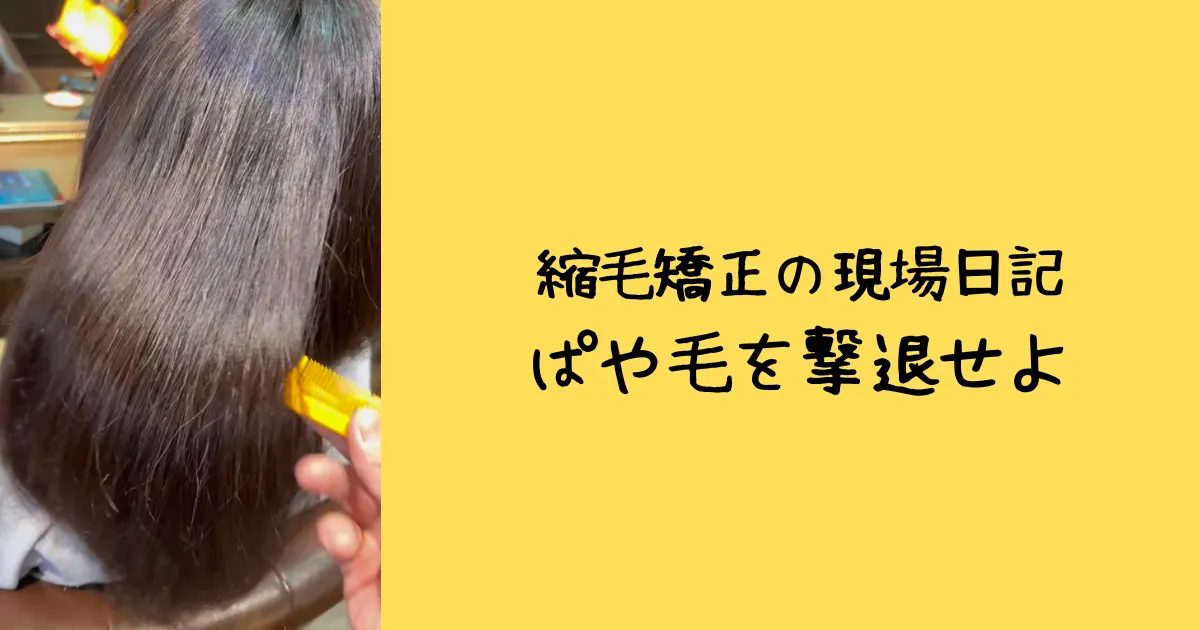 さいたま市浦和の美容室エナ。髪質改善デザイン縮毛矯正で髪のぱさつきを改善する
