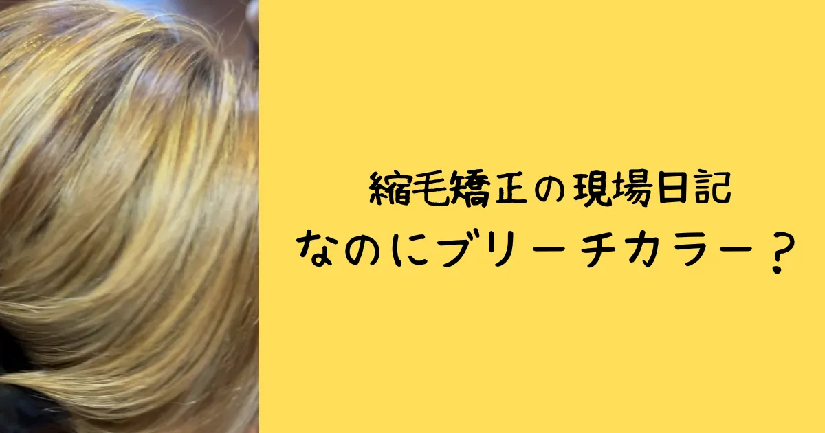 浦和髪質改善デザイン縮毛矯正とブリーチの関係はヘアケア