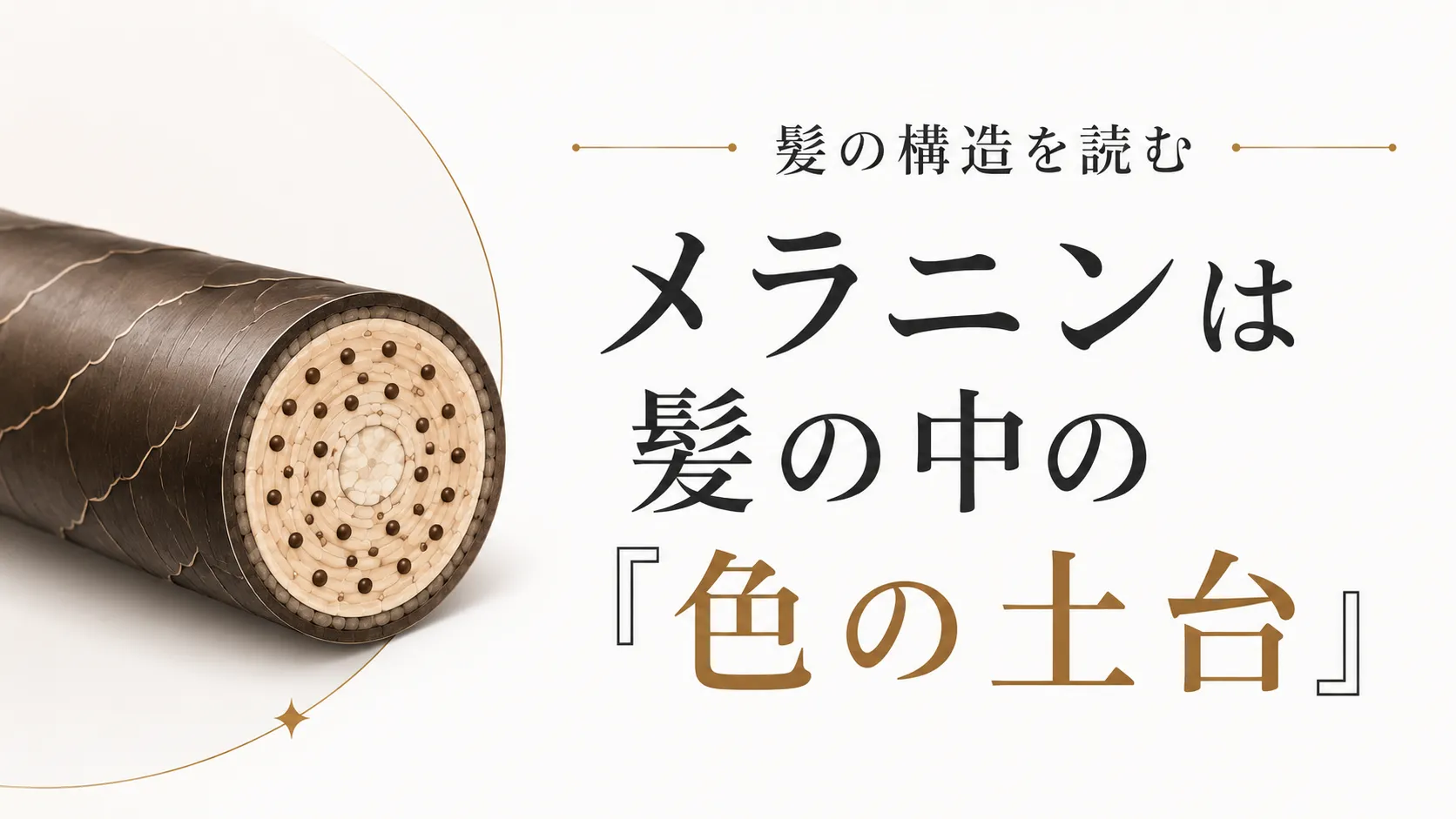 メラニンとは