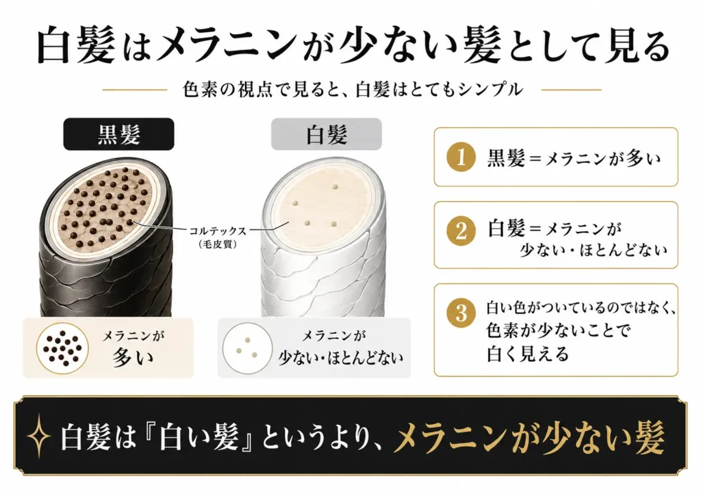 白髪