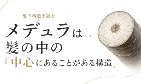メデュラとは