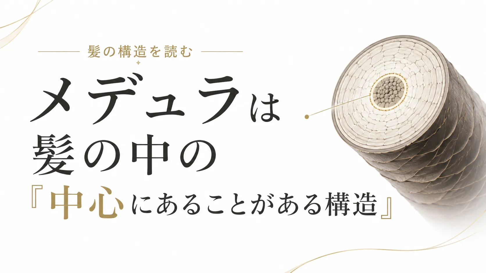 メデュラとは