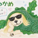 髪とわかめ
