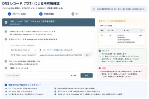 DNS TXT Recordが表示された画面