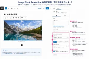 Image Block Resolution設定の画像